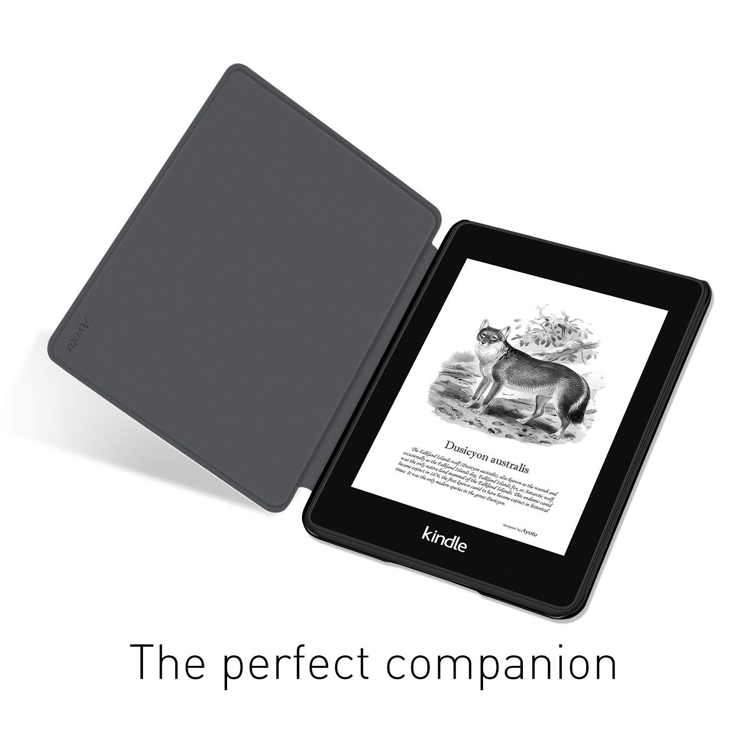 Voor Kindle Paperwhite 5/6/7th - Kindle Tablet Accessories recensie en prijs
